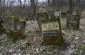 Jewish cemetery in Szczebrzeszyn© Jethro Massey/Yahad-In Unum